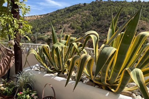 Cortijo i Montefrio, Granada, Montefrio - € 220.000 | Ref: GVCCPCM - foto 40